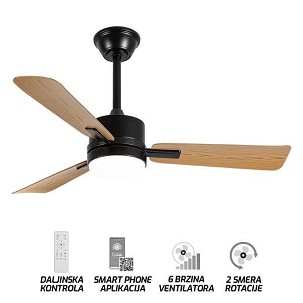 Plafonski ventilator sa svetiljkom FV3102-107 BR